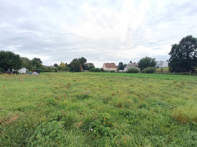 Przestrzenna działka tylko 8km od Pyskowic - powiat gliwicki  -
Śląskie Zdjęcie nr 3
