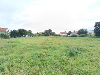 Przestrzenna działka tylko 8km od Pyskowic - powiat gliwicki  -
Śląskie Zdjęcie nr 4