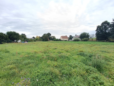 Przestrzenna działka tylko 8km od Pyskowic - powiat gliwicki  -
Śląskie Zdjęcie nr 5