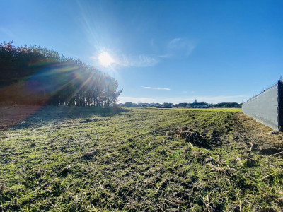  Pod lasem  15min od Katowic  2min od DK 81  - Orzesze  -
Śląskie Zdjęcie nr 2