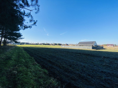  Pod lasem  15min od Katowic  2min od DK 81  - Orzesze  -
Śląskie Zdjęcie nr 5