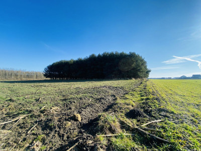  Pod lasem  15min od Katowic  2min od DK 81  - Orzesze  -
Śląskie Zdjęcie nr 7