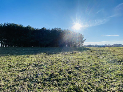  Pod lasem  15min od Katowic  2min od DK 81  - Orzesze  -
Śląskie Zdjęcie nr 9