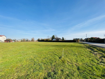 Widok na Beskidy  1km do DK 81  6km Skoczów  12 - Ochaby Wielkie  -
Śląskie Zdjęcie nr 4