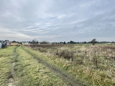 Prąd woda kanalizacja  Droga utwardzona  Prost - Orońsko  -
Mazowieckie Zdjęcie nr 11