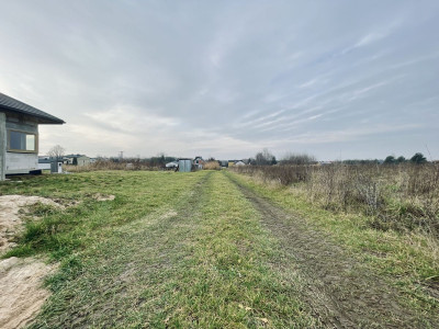 Prąd woda kanalizacja  Droga utwardzona  Prost - Orońsko  -
Mazowieckie Zdjęcie nr 12