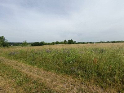 Sielskie widoki  Spokojna Okolica  Słoneczna - Tąpkowice  -
Śląskie Zdjęcie nr 11