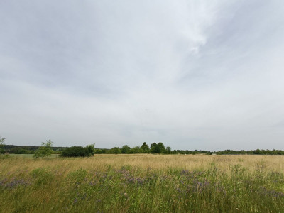 Sielskie widoki  Spokojna Okolica  Słoneczna - Tąpkowice  -
Śląskie Zdjęcie nr 2