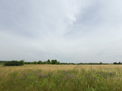 Sielskie widoki  Spokojna Okolica  Słoneczna - Tąpkowice  -
Śląskie Zdjęcie nr 4