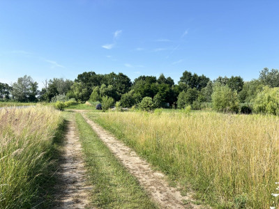 Bezterminowe WZ I Płaska  Blisko S5 l Wodociąg l - Piotrkowice  -
Dolnośląskie Zdjęcie nr 9