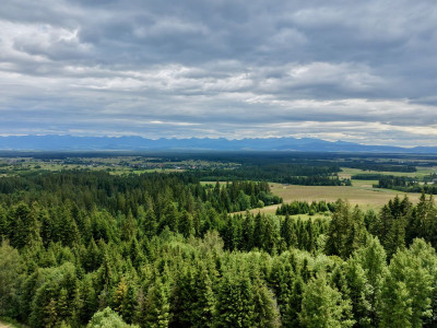 Widok na Tatry MPZPBudowlanaNasłonecznionaLas - Orawka  -
Małopolskie Zdjęcie nr 12