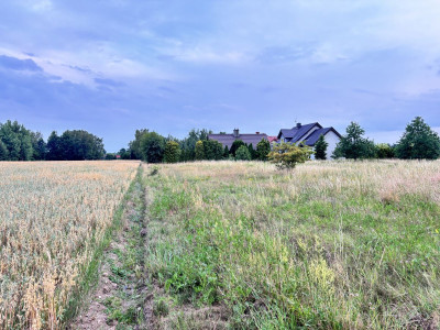 Szybki dojazd do S3  Skrzynka z prądem na granicy - Grzymalin  -
Dolnośląskie Zdjęcie nr 4