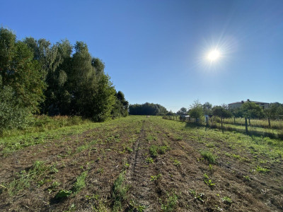  MPZP  BB 10min  DK1 12min  S1 8min  Media - Kaniów  -
Śląskie Zdjęcie nr 12