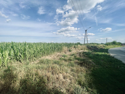 MPZP  Prąd woda gaz  Prostokątne płaskie  - Opatów  -
Świętokrzyskie Zdjęcie nr 11