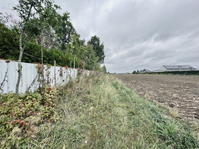 Działki budowlane 1000 m  WZ   projekt domu - Maków  -
Mazowieckie Zdjęcie nr 11
