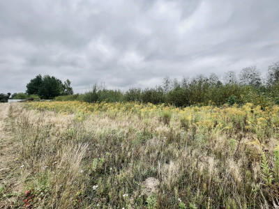 Działki budowlane 1000 m  WZ   projekt domu - Maków  -
Mazowieckie Zdjęcie nr 13