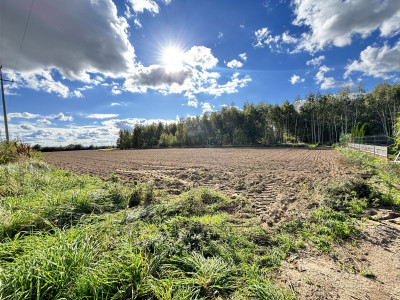 Woda  Prąd  Bezterminowe WZ   8 km od Leszna  - Lipno  -
Wielkopolskie Zdjęcie nr 12