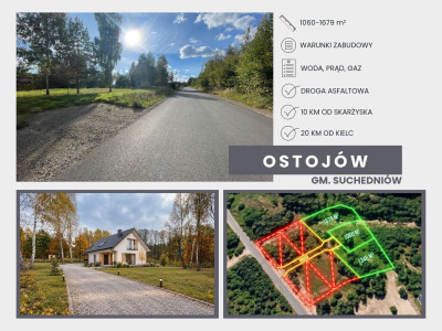 WZ  Media  Droga asfaltowa  Lasy  Zalew  - Ostojów  -
Świętokrzyskie Zdjęcie nr 3