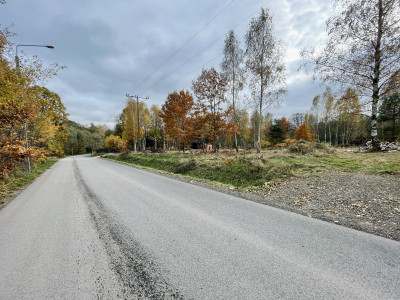 WZ  Media  Droga asfaltowa  Lasy  Zalew  - Ostojów  -
Świętokrzyskie Zdjęcie nr 6