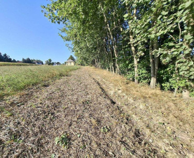 Na wzniesieniuSpokojna okolicaWidok i potencjał - powiat oświęcimski  -
Małopolskie Zdjęcie nr 6