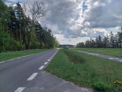 Cisza zieleń i jezioro Ścieżka rowerowa tras - powiat poznański  -
Wielkopolskie Zdjęcie nr 13