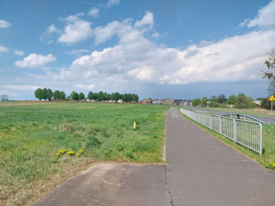Cisza zieleń i jezioro Ścieżka rowerowa tras - powiat poznański  -
Wielkopolskie Zdjęcie nr 2