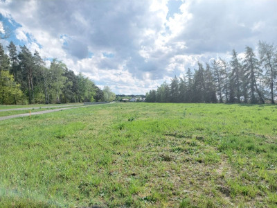 Cisza zieleń i jezioro Ścieżka rowerowa tras - powiat poznański  -
Wielkopolskie Zdjęcie nr 3