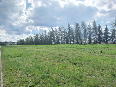 Cisza zieleń i jezioro Ścieżka rowerowa tras - powiat poznański  -
Wielkopolskie Zdjęcie nr 6