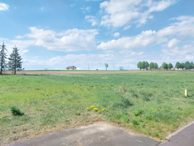 Cisza zieleń i jezioro Ścieżka rowerowa tras - powiat poznański  -
Wielkopolskie Zdjęcie nr 9