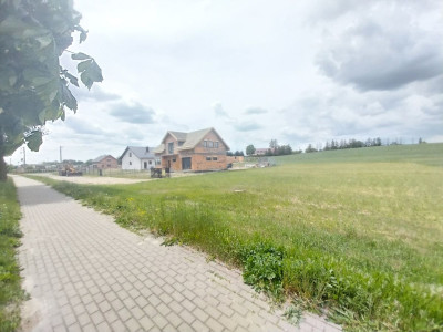 MPZPJezioroPlażaLasPiękna okolica - powiat gnieźnieński  -
Wielkopolskie Zdjęcie nr 9