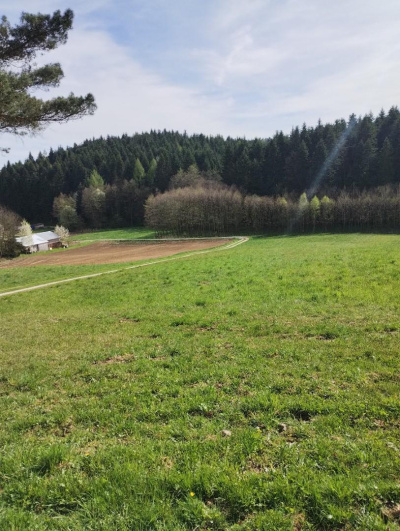 Sprzedam działkę budowlaną - Niepla, podkarpackie - Podkarpackie