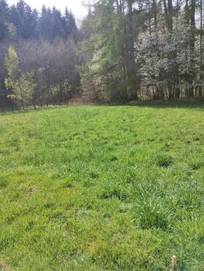 Sprzedam działkę budowlaną - Niepla, podkarpackie - Podkarpackie
