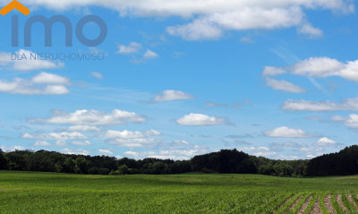 Działka w centrum Torunia - Toruń  - Kujawsko-Pomorskie