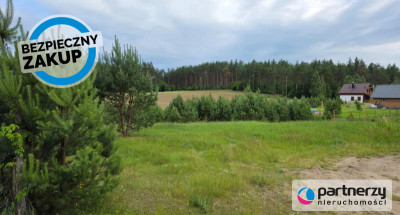 Prąd na działce  Woda tuż przed  Ogród od płd - Nowa Kiszewa  -
Pomorskie Zdjęcie nr 4