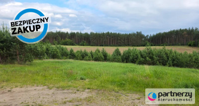 Prąd na działce  Woda tuż przed  Ogród od płd - Nowa Kiszewa  -
Pomorskie Zdjęcie nr 5