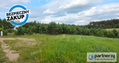 Prąd na działce  Woda tuż przed  Ogród od płd - Nowa Kiszewa  -
Pomorskie Zdjęcie nr 6