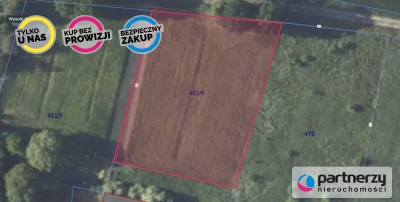 Miłocice - Duża Działka 35 km od Wrocławia - Miłocice  -
Dolnośląskie Zdjęcie nr 2