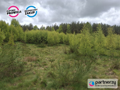 Sprzedam działkę przy lesie - Strzebielino  -
Pomorskie Zdjęcie nr 10