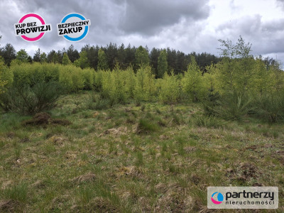 Sprzedam działkę przy lesie - Strzebielino  -
Pomorskie Zdjęcie nr 11
