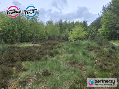 Sprzedam działkę przy lesie - Strzebielino  -
Pomorskie Zdjęcie nr 2