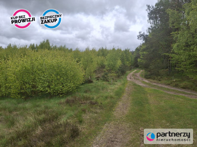 Sprzedam działkę przy lesie - Strzebielino  -
Pomorskie Zdjęcie nr 3
