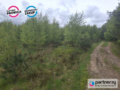 Sprzedam działkę przy lesie - Strzebielino  -
Pomorskie Zdjęcie nr 4