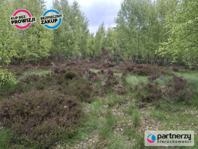 Sprzedam działkę przy lesie - Strzebielino  -
Pomorskie Zdjęcie nr 5