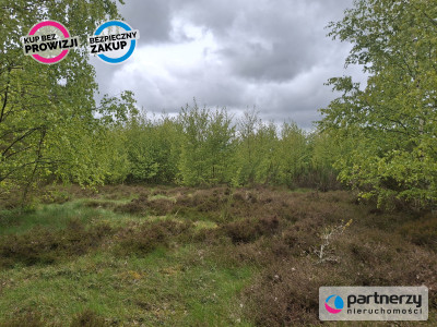 Sprzedam działkę przy lesie - Strzebielino  -
Pomorskie Zdjęcie nr 6