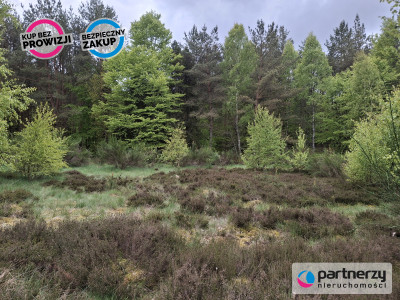 Sprzedam działkę przy lesie - Strzebielino  -
Pomorskie Zdjęcie nr 7