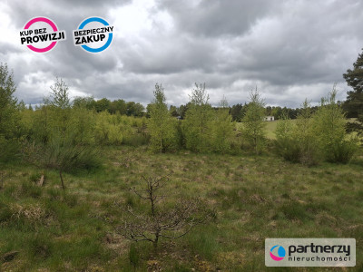 Sprzedam działkę przy lesie - Strzebielino  -
Pomorskie Zdjęcie nr 9