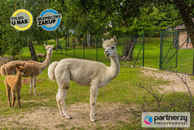 Gospodarstwo agroturystyczne na Kaszubach - powiat kościerski  -
Pomorskie Zdjęcie nr 12