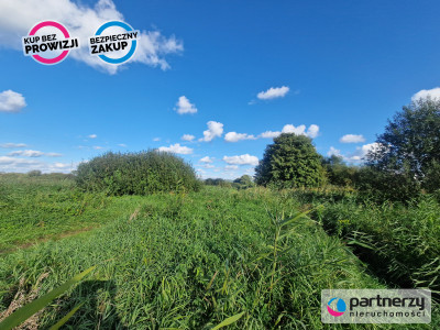 Działka rekreacyjnaekologiczna 1 ha Reda - Reda  -
Pomorskie Zdjęcie nr 7