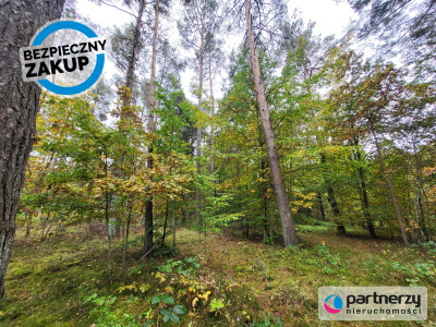 Działka pod dom lub usługi w leśnym otoczeniu - Chwaszczyno  -
Pomorskie Zdjęcie nr 5