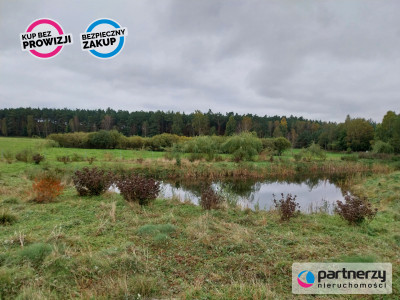 Działka ze stawami otoczona lasem - Stara Huta  -
Kujawsko-Pomorskie Zdjęcie nr 2
